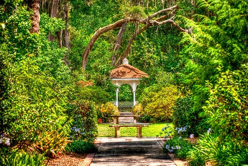 Leu Gardens in Orlando