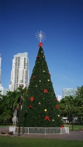 Miami Christmas by Van Rental