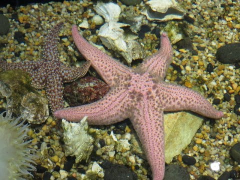 Florida Aquarium