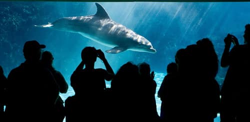 Florida Aquarium