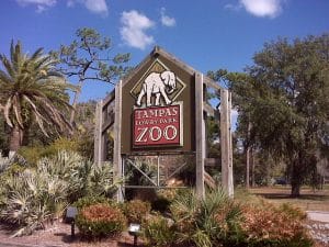 Lowry Park Zoo Tampa FL