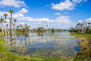 Orlando Wetlands Park