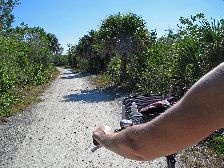 Explore Florida's Best Bike Trails Accessible by Van