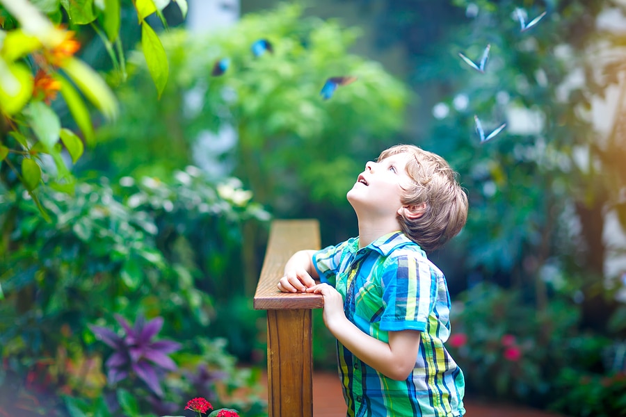 Top Indoor Activities for Rainy Days in Tampa