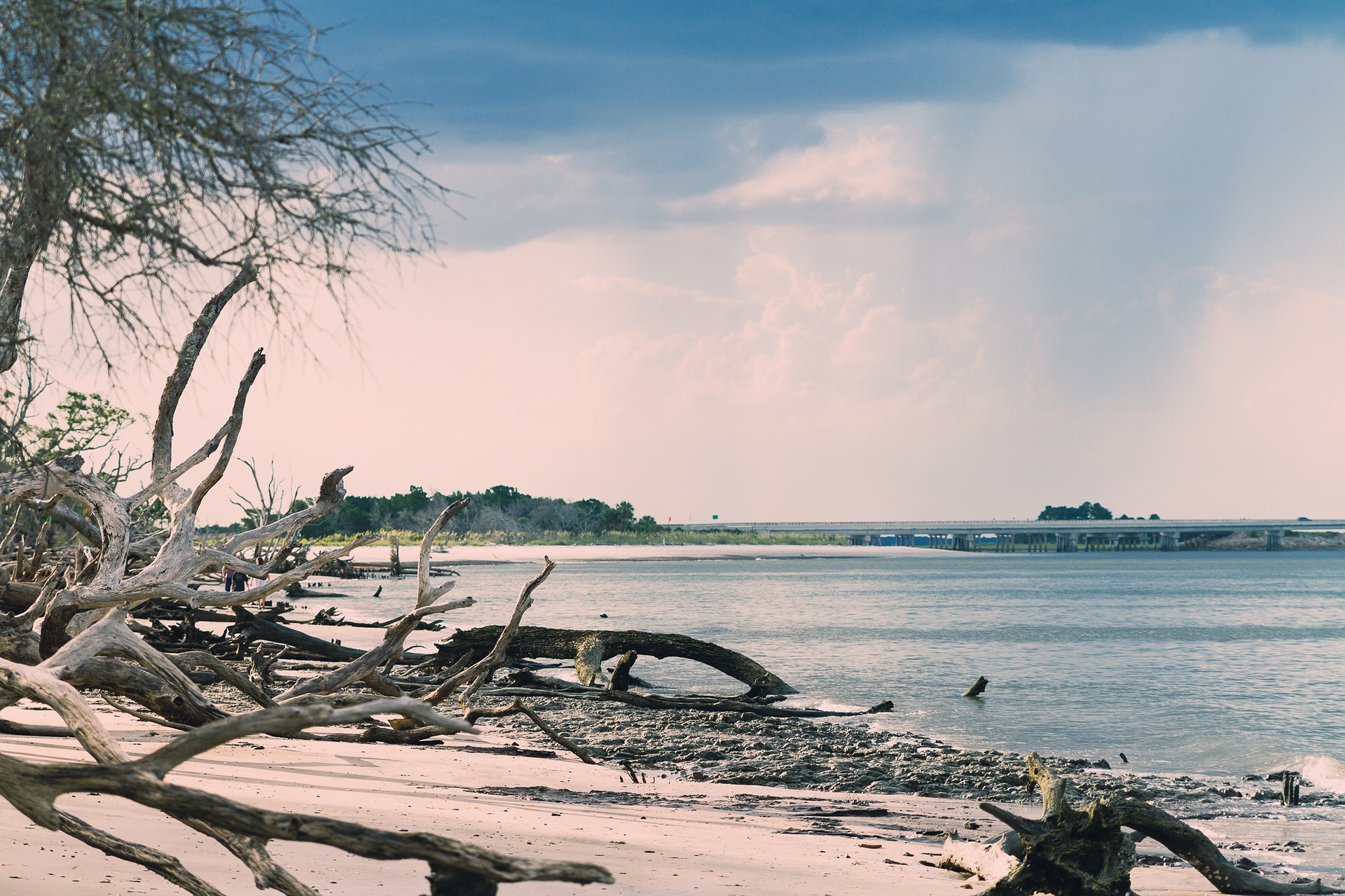 Take Your Van Rental to Visit Bonehead Beach near Jacksonville